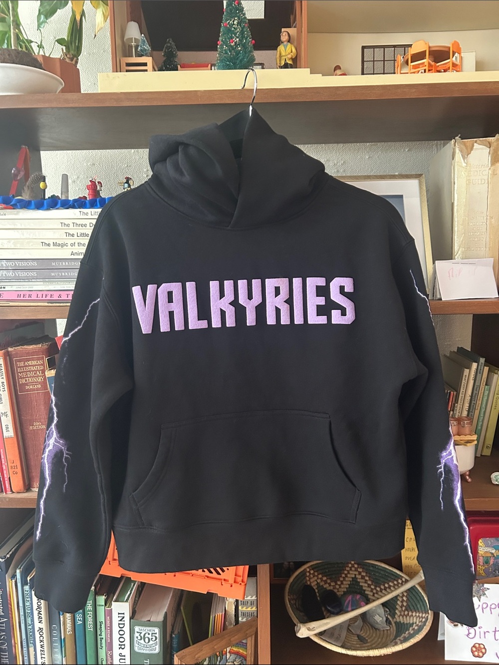 "Valkyries" Graphic Hoodie Sweatshirt - Women's